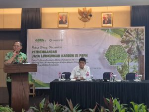 APHI Dorong Jasa Lingkungan Karbon Jadi Motor Transformasi Bisnis Kehutanan Maluku Dan Maluku Utara