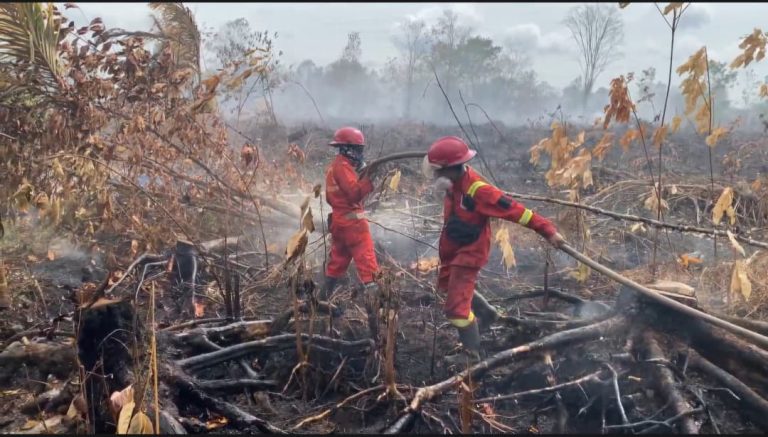El Niño Kuat Berlangsung, KLH/BPLH Terbitkan SE Larangan Buka Lahan dengan Membakar