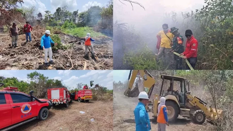 APHI Komda Kaltim Perketat Pengawasan Titik Panas, PBPH Diminta Responsif Cegah Karhutla Meluas