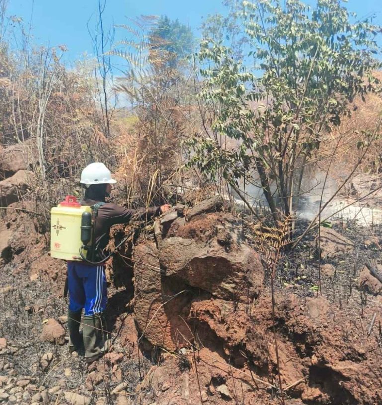 APHI Sulawesi Apresiasi Anggota PBPH atas Dukungan Penanganan Karhutla di Luar Wilayah Konsesi