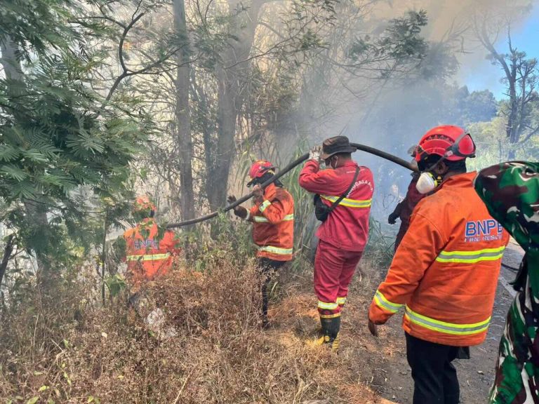 Karhutla Masih Membakar Sejumlah Gunung di Jawa Timur, Tim Gabungan Perkuat Penanganan