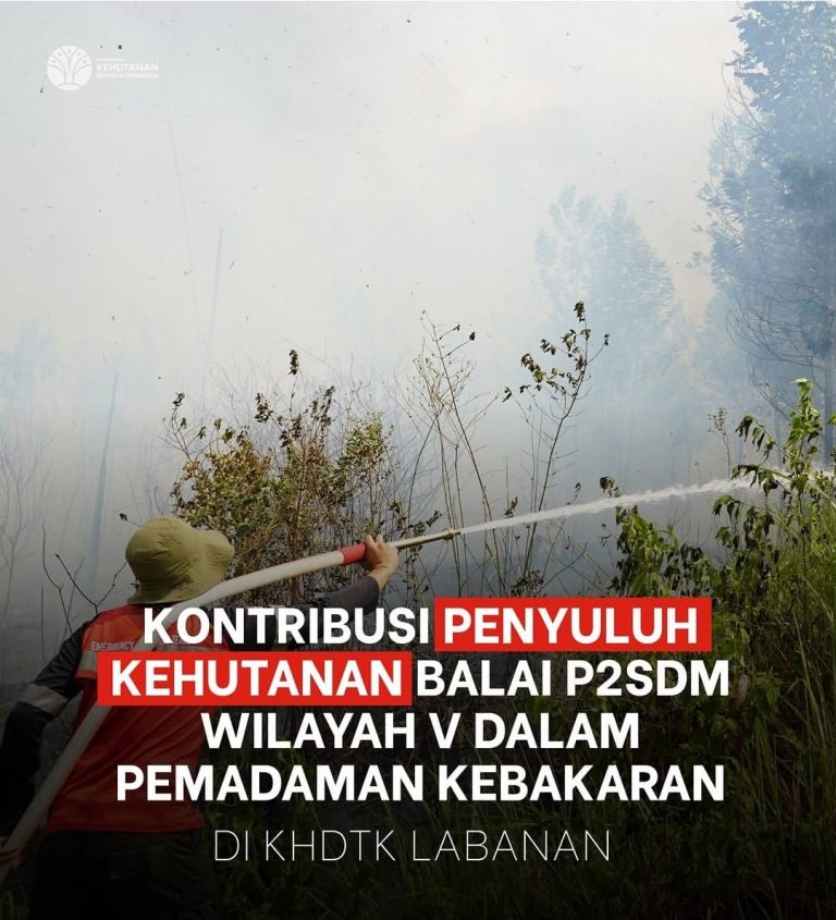 Penyuluh kehutanan perkuat kolaborasi tangani karhutla di Labanan