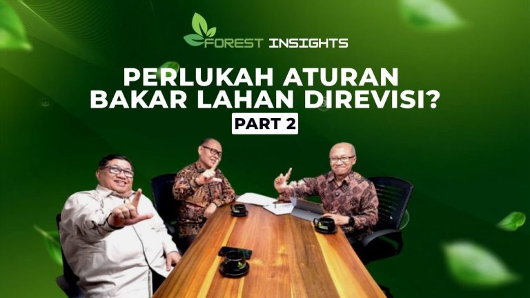 Aturan Bakar Lahan Mau Diubah? Ini yang Harus Disiapkan Pemerintah